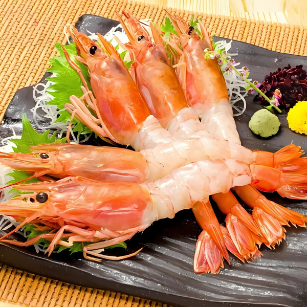 Tôm đỏ sashimi giá sỉ