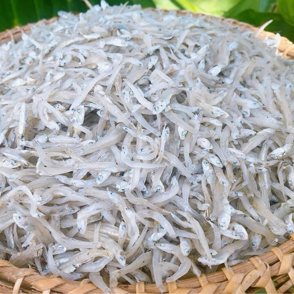 Cá ngần tươi giá sỉ 