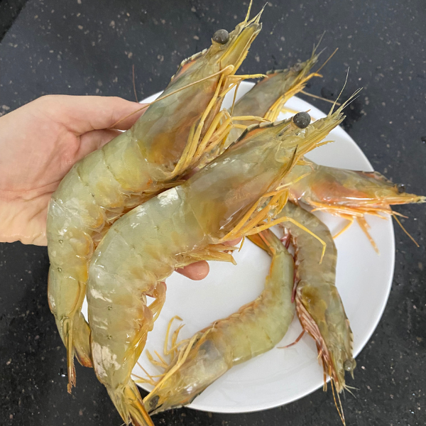 Tôm he vàng chất lượng