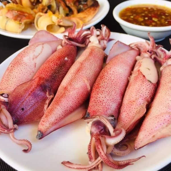 mực trứng chất lượng giá sỉ
