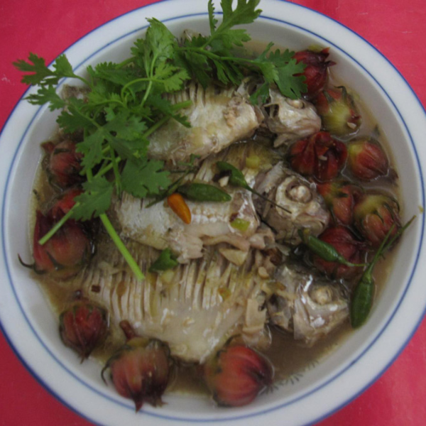 cá dảnh giá sỉ